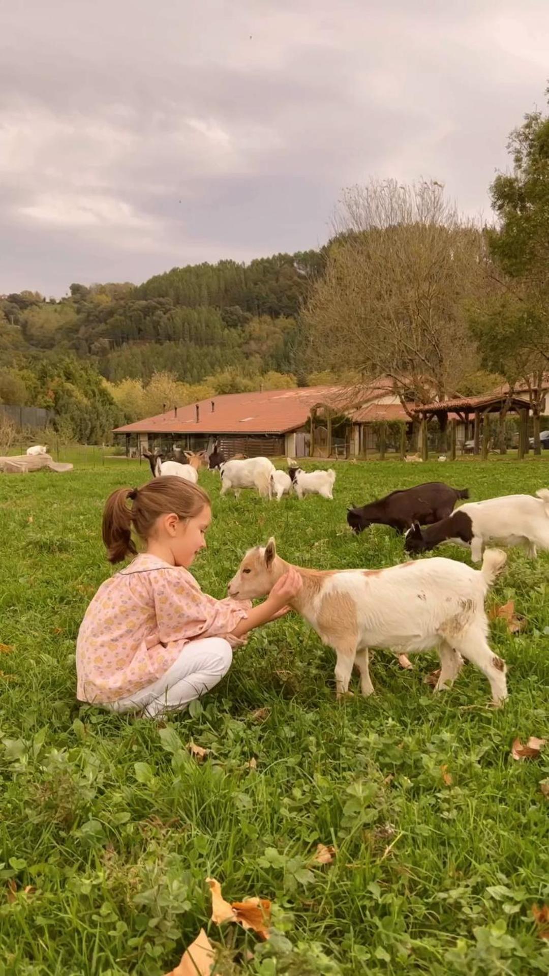 Casa Rural Jesuskoa Zumaia Εξωτερικό φωτογραφία